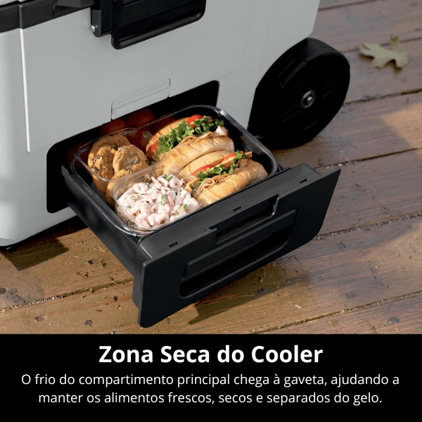 Alimentos armazenados na Zona Seca da Geleira FreshMove