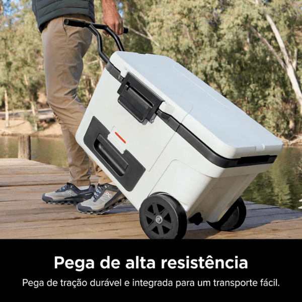 Pega de transporte da Geleira FreshMove